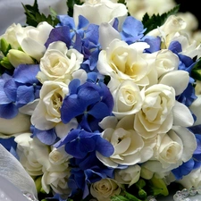 bouquet, white, blue