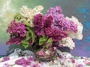 Syringa, White, cloth, Violet, Vase, without, Flowers, bouquet