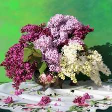 White, without, cloth, Syringa, Vase, Violet, Flowers, bouquet
