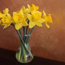 Daffodils, bouquet