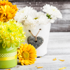 Orange, White, Pots, Bouquets, Chrysanthemums, Yellow