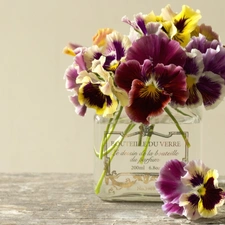 pansies, bowl