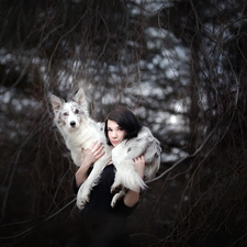 Women, Border Collie, branch pics, dog