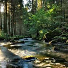 River, forest, light breaking through sky, Stones