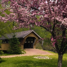 flourishing, covered, bridge, trees