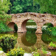 Park, stone, bridge, River