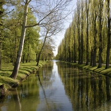 River, viewes, bridge, trees