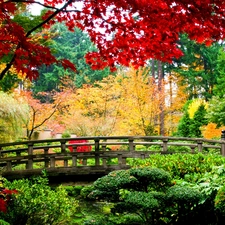 bridges, autumn, Park