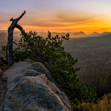 Mountains, Great Sunsets, Bright, pine, trees, rocks