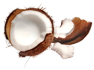 broken, Coconut