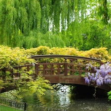 brook, Garden, bridges