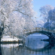 trees, Park, brook, bridges, viewes, Snowy