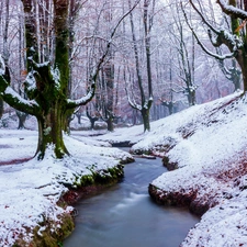 winter, Gorbea National Park, trees, viewes, Basque Country, Spain, brook, stream, forest