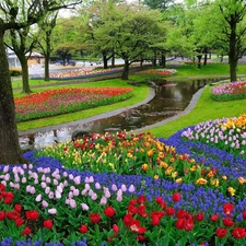 brook, Tulips, trees, viewes, Park