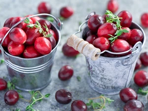 Buckets, cranberry, Tin