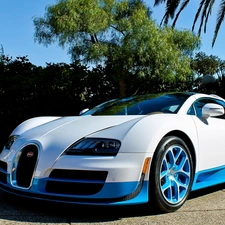 Bugatti Veyron, Palms