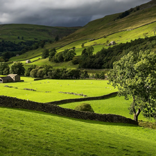 Mountains, Swaledale Valley, trees, Meadow, Stone, Sheep, buildings, England, Yorkshire Dales National Park, walls, viewes