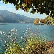 River, Mountains, buildings, trees