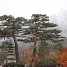 Fog, South Korea, Buldings, Mountains, pine