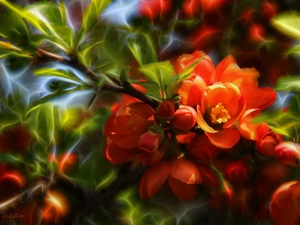 Bush, Fractalius, Red, Flowers, quince