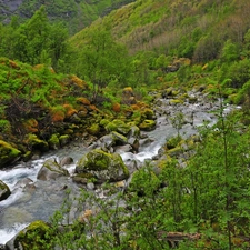 Mountain, Stones, Bush, brook