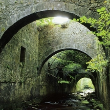 Bush, brook, tunnel