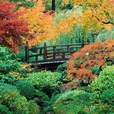 Bush, Garden, viewes, bridges, trees, green ones