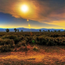 west, Mountains, Bush, sun