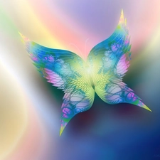 Rainbow, butterfly