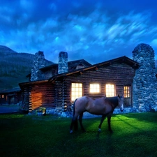 Cabin, Montana, house, Night, Horse