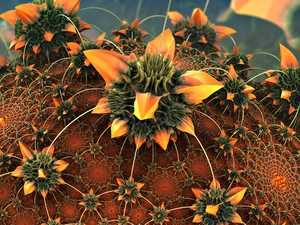 3D, Colourfull Flowers, Cactus