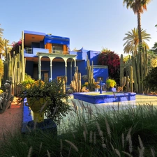 Cactus, villa, Africa, Maroko, Garden, fountain