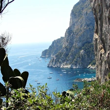 Island, sea, Cactus, Capri