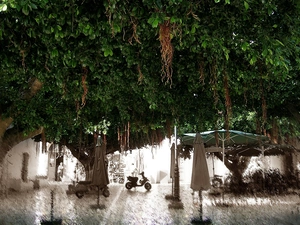 cafeteria, Tunisia, Mahdia