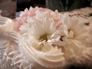 Margaretki, whipped, cream, Cake