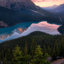Banff National Park, Canada, Peyto Lake, Mountains Canadian Rockies, Great Sunsets, reflection, viewes, woods, trees