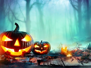 Candles, Leaf, blurry background, trees, Fog, pumpkin, halloween, viewes