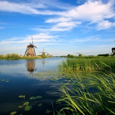 cane, Windmills, water