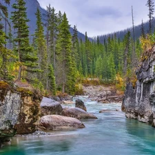 Tokumm Creek, Kootenay National Park, Marble Canyon Provincial Park, River, Mountains, Stones, viewes, Canada, Province of British Columbia, trees, rocks