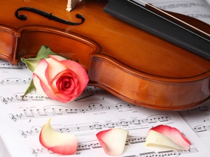 violin, Tunes, rose, Cards