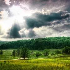 cars, clouds, medows, roads, forest