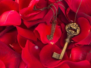 flakes, flowers, neck chain, Red, Key