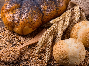 Ears, roll, grains, Challah, bread, corn, bucket