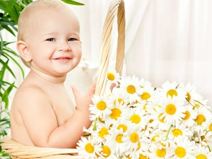 Kid, Flowers, chamomile, basket