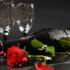 champagne, glasses, rose, Bottle, red hot