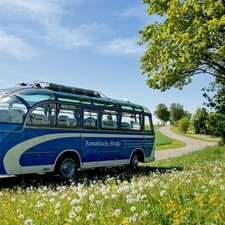 bus, Meadow, chapel, Way