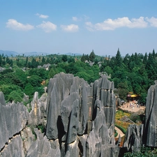 China, stone, forest