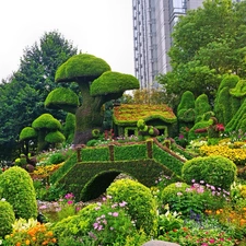 Garden, Hedge, China, ornamental