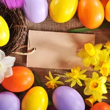 Daffodils, chit, eggs, nest, Easter