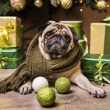 Scarf, pug, baubles, christmas, gifts, dog